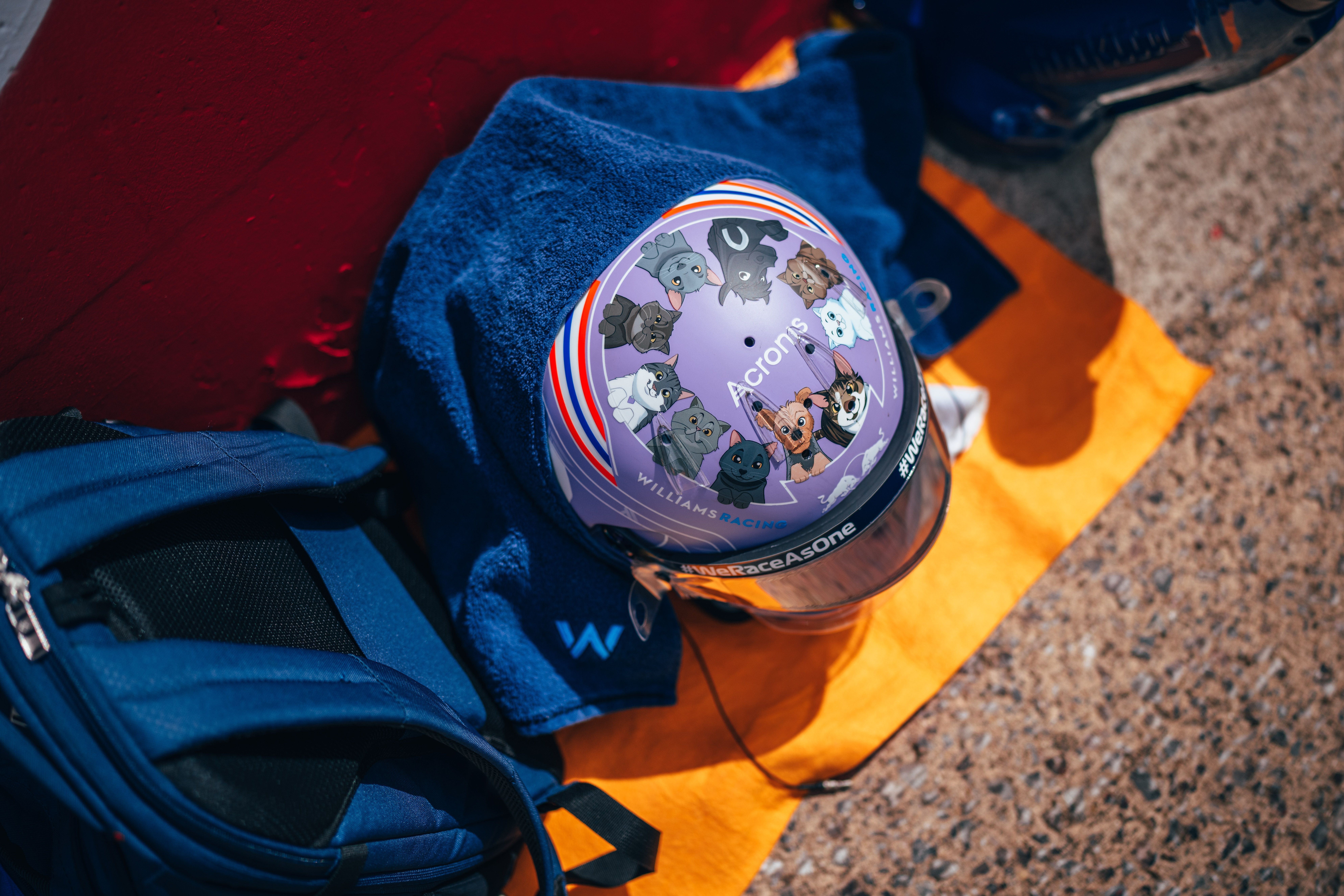 Horsey, Goosey, Duckie, Moomoo, Tinky and co soak up the Silverstone rays
