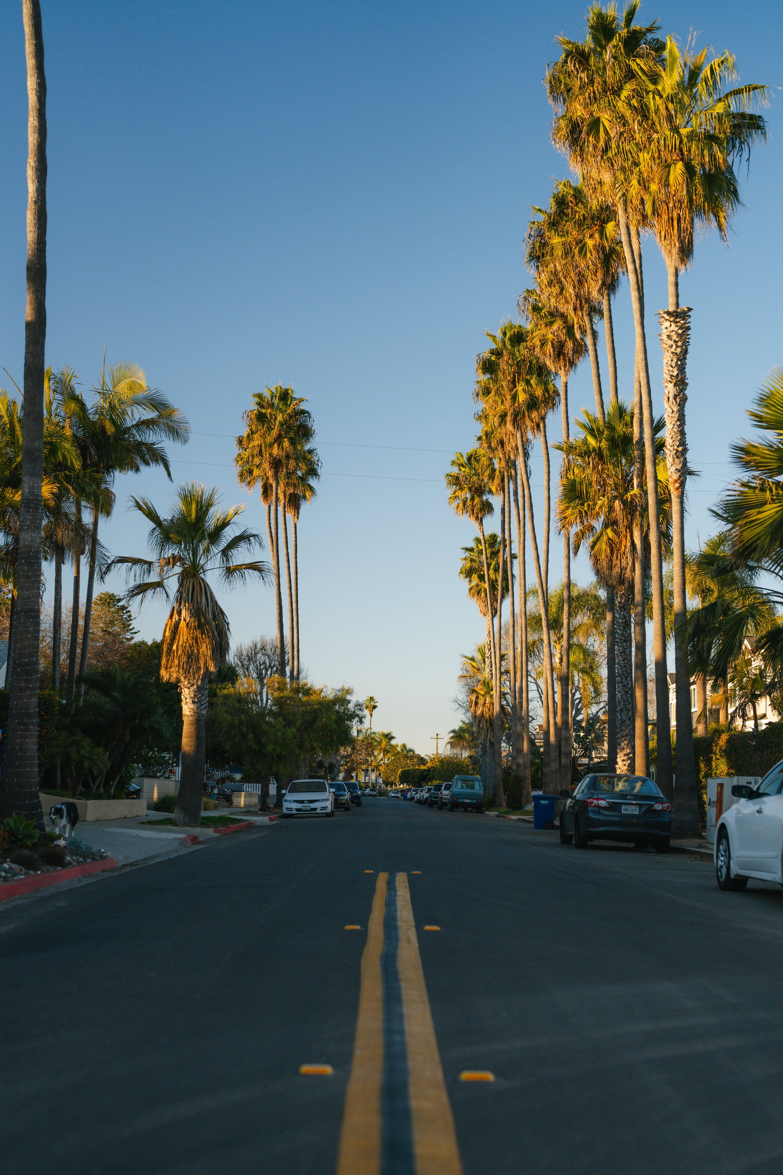 California dreamin'.