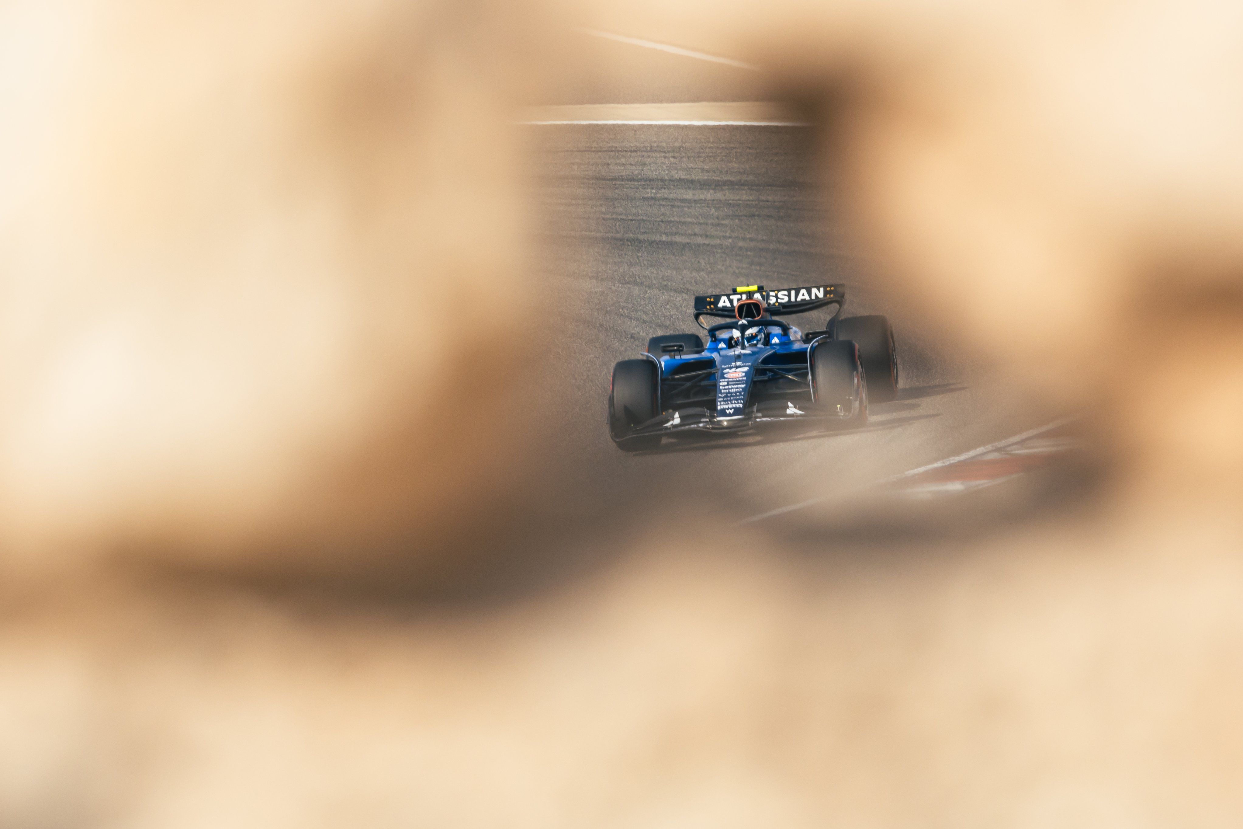 Peeking through the desert stones.