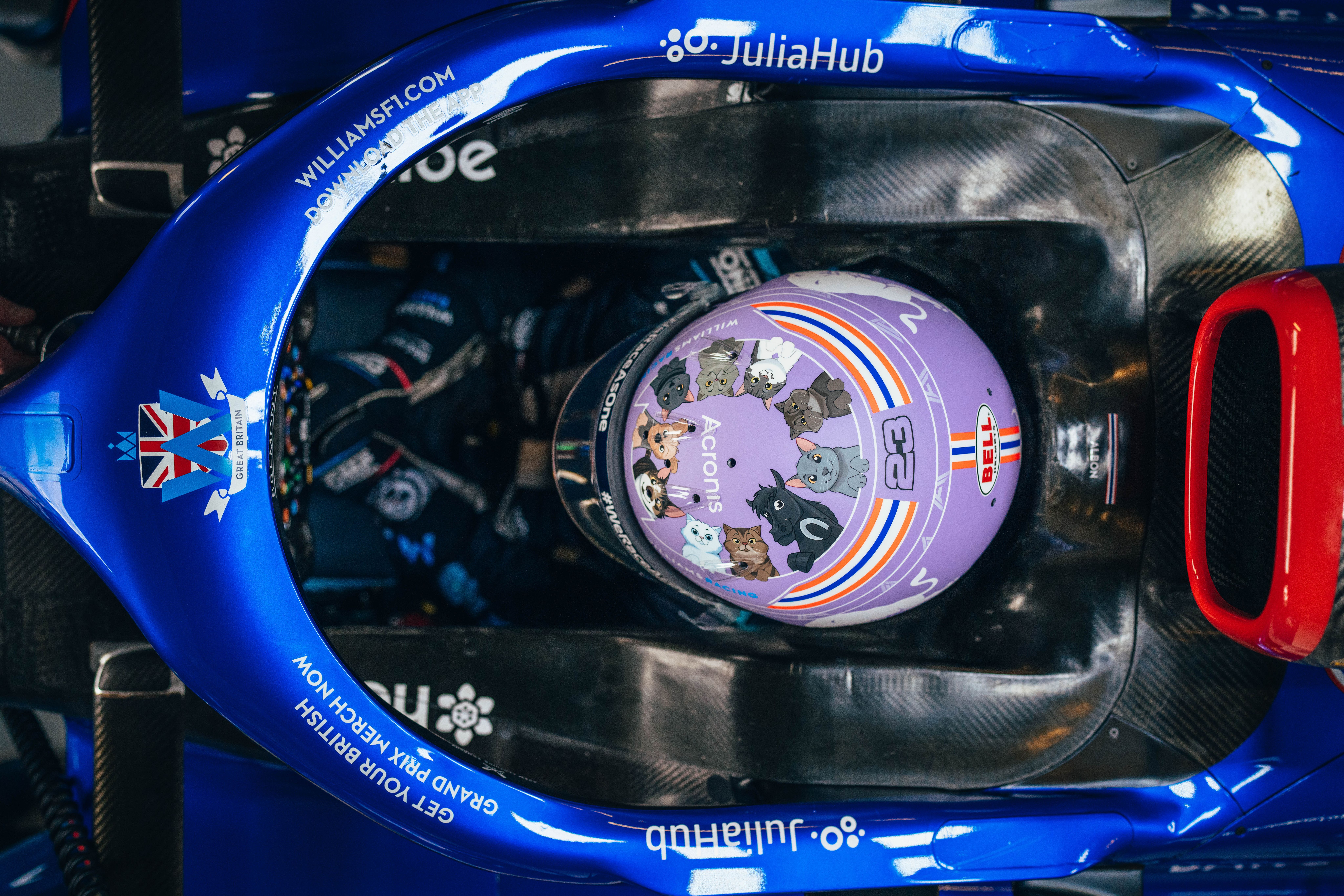 A birdseye view of Alex’s furry friends