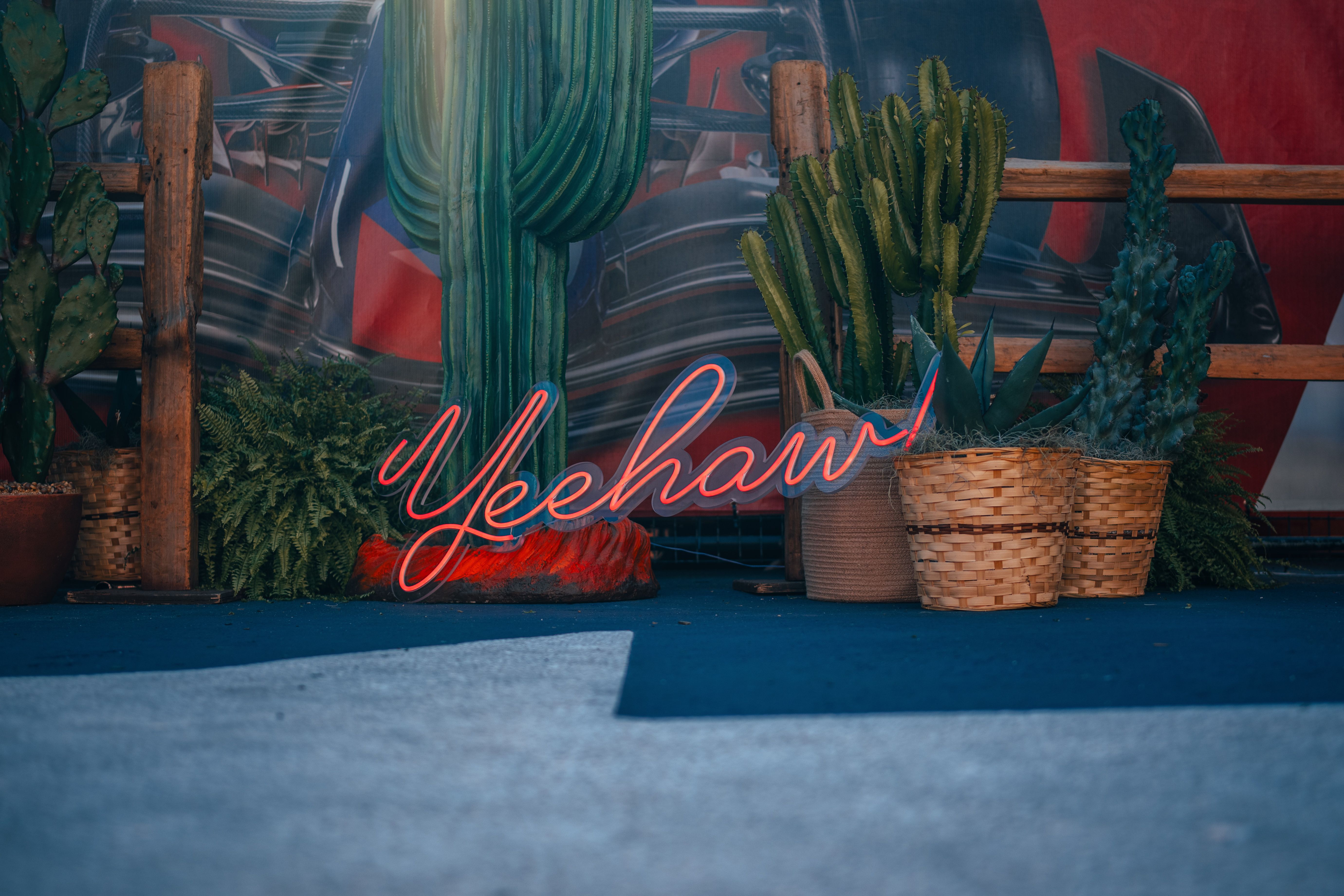 Quite the paddock entrance.