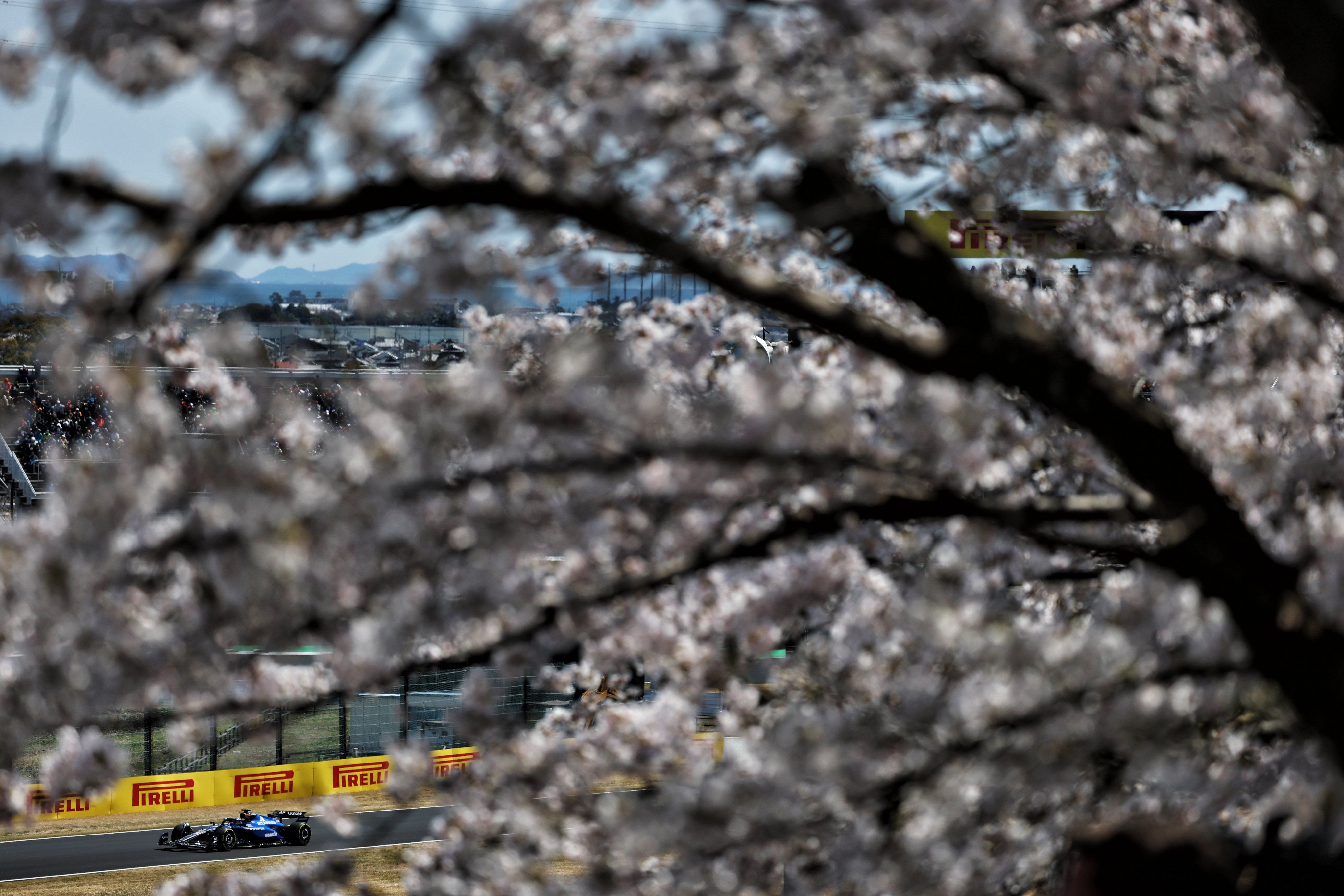 Blooming marvellous. 